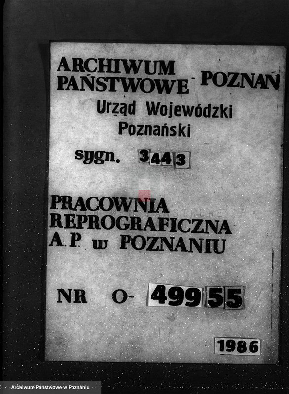 Obraz 1 z jednostki "Gmina Rzgów powiat koniński /nadzór nad gospodarką leśną/"