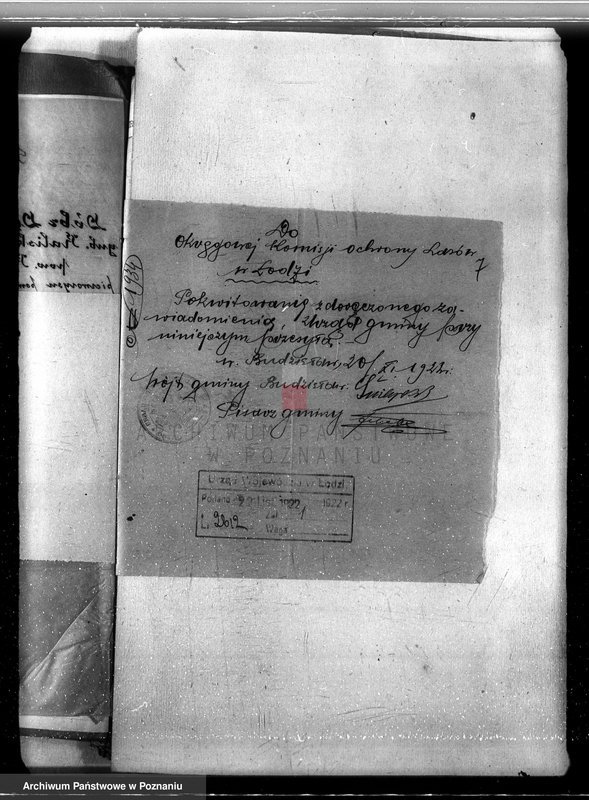 Obraz 11 z jednostki "Sprawa nieprawego wykarczowania lasu i zamiana go na użytek rolny w lasach majątku Dęby Szlacheckie własność P. J. Żeromskiego"