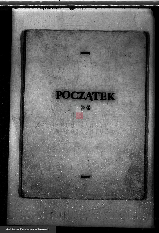 Obraz 3 z jednostki "Napachanie powiat poznański nadzór nad gospodarką leśną"