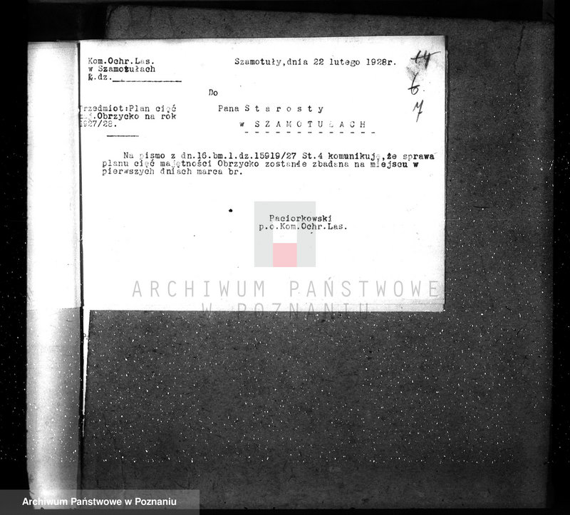 Obraz 11 z jednostki "Ordynacja Obrzycko /nadzór nad gospodarką leśną/"