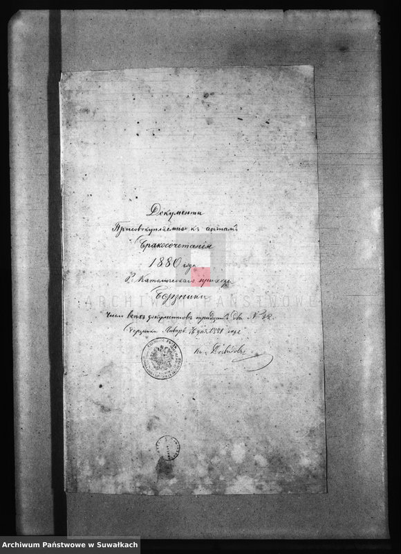 image.from.unit.number "Dokumenty Prisovokupljaemye k aktom Brakosočetanija 1880 goda R. Katoličeskago prichoda Beržniki"