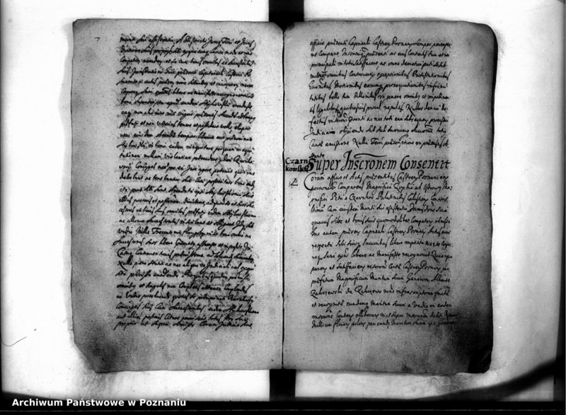 Obraz 11 z jednostki "Inscriptiones [inducta]"