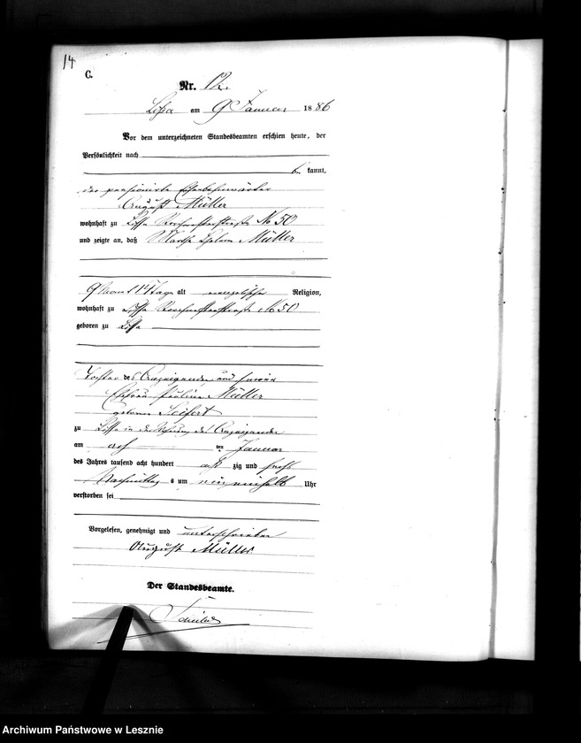 Obraz 13 z jednostki "[Księga zgonów]"