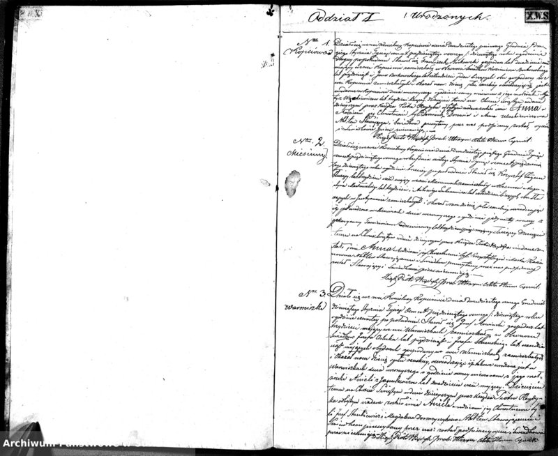 Obraz 5 z jednostki "D. L. P. Kopciowo r. 1859"