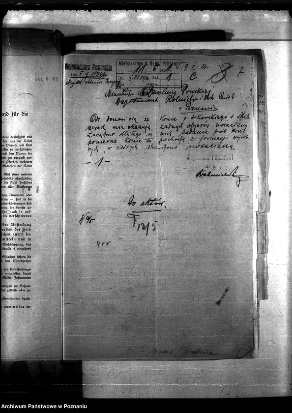 Obraz 11 z jednostki "Nosacizna - Brodnica"