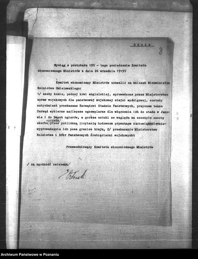 Obraz 12 z jednostki "Konie"