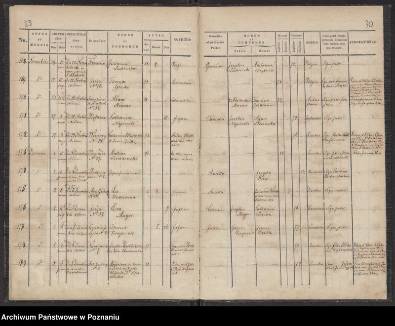 Obraz 17 z jednostki "Księga zgonów"