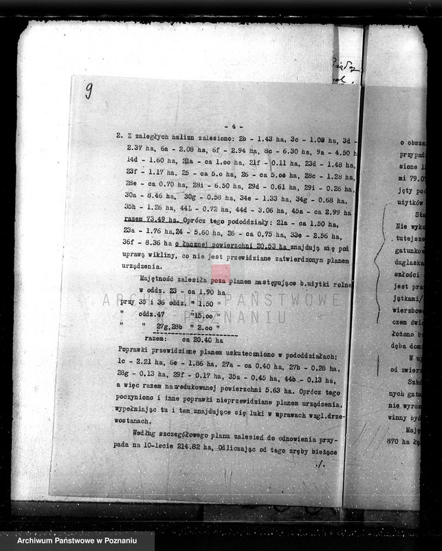 Obraz 13 z jednostki "Nadzór nad gospodarką w lasach majętności Czacz-Białcz powiat kościański"