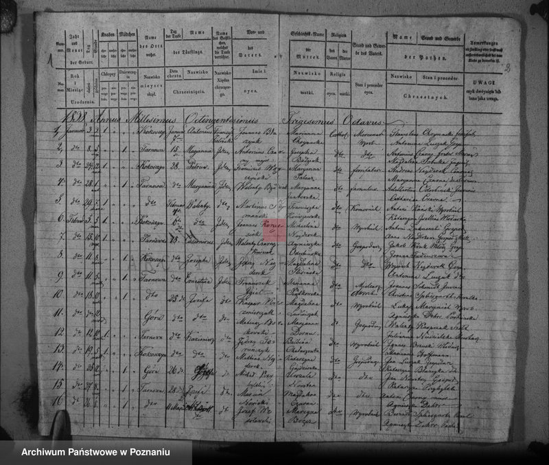 Obraz 4 z jednostki "Duplikat baptisatorum, copulatorum, mortuorum"
