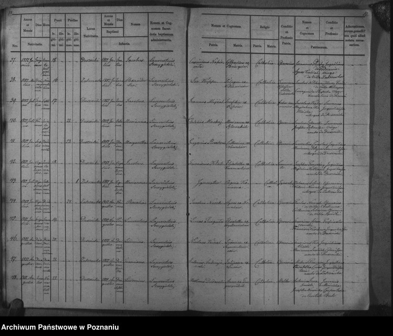 Obraz 13 z jednostki "Duplicat baptisatorum, copulatorum, mortuorum"