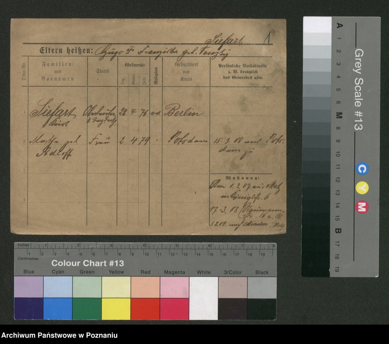 Obraz 6 z jednostki "Sifart - Sikorowski"