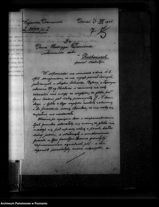 Obraz 11 z jednostki "Majętność leśna Ruchocice powiat wolsztyński"