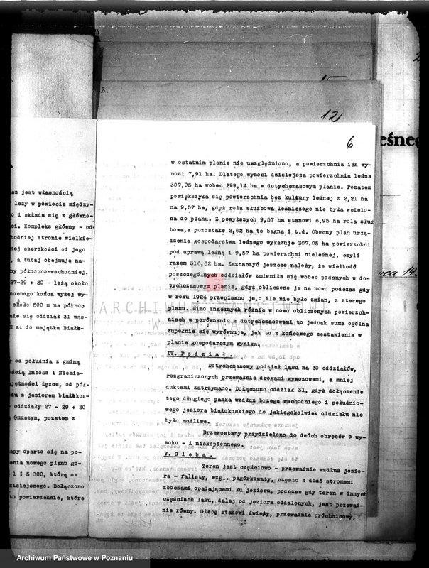 image.from.unit.number "Plan urządzenia gospodarstwa leśnego dla lasu majętności Białokosz powiat międzychodzki 1929-1939"