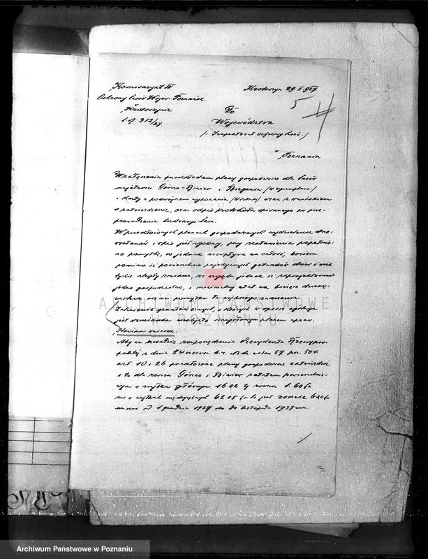 Obraz 9 z jednostki "Nadzór nad gospodarką w lasach majętności Gorzno-Biniew powiat ostrowski"