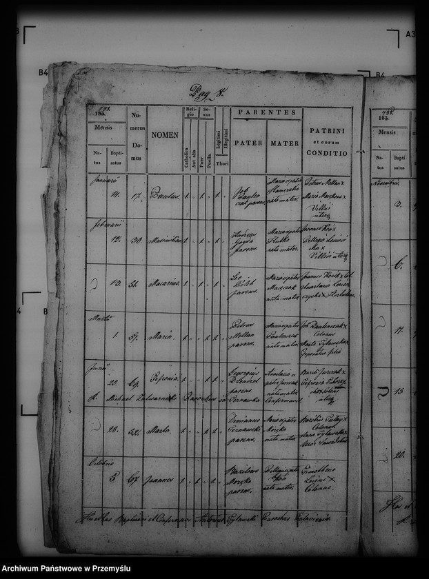 Obraz 12 z jednostki "[Kopie ksiąg metrykalnych parafii Puławy (dekanat Buków)]"