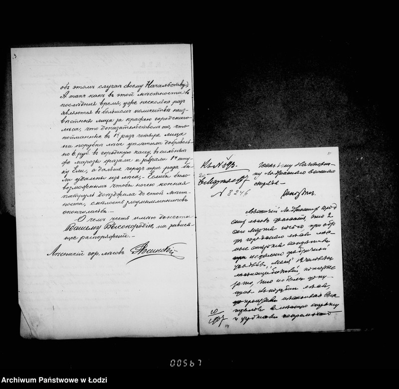 Obraz 12 z jednostki "O gorodskich lesach"