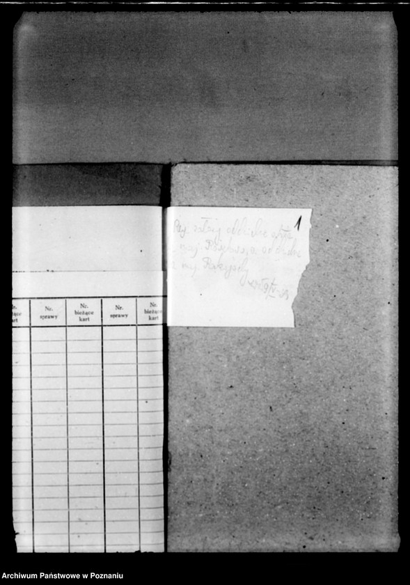 Obraz 5 z jednostki "Majętność leśna Rakojady powiat wągrowiecki"