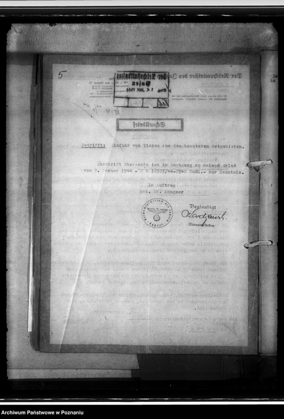 Obraz 9 z jednostki "Einfuhr von Tieren aus den besetzten Ostgebieten - auch der Schwarzmeerdeutschen"