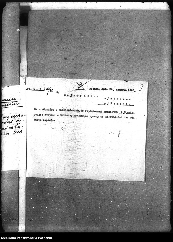 Obraz 13 z jednostki "Wykaz chorób zwierzęcych zaraźliwych w Rzeczypospolitej Polskiej"