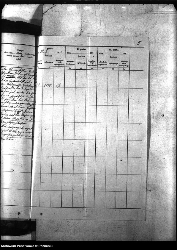 Obraz 9 z jednostki "Nosacizna - Śmigiel"