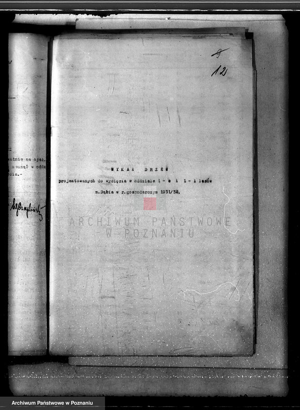 Obraz 16 z jednostki "Lasy miasta Dąbie powiatu kolskiego"