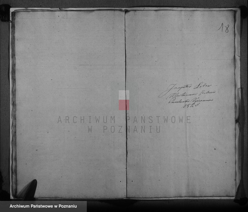image.from.unit.number "Duplicat baptisatorum, copulatorum, mortuorum"