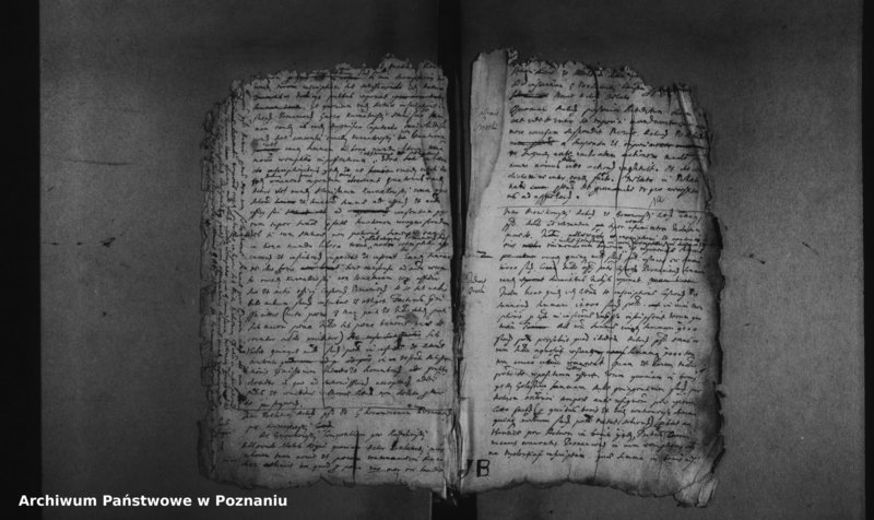 Obraz 5 z jednostki "Decreta officii [protocollon]"