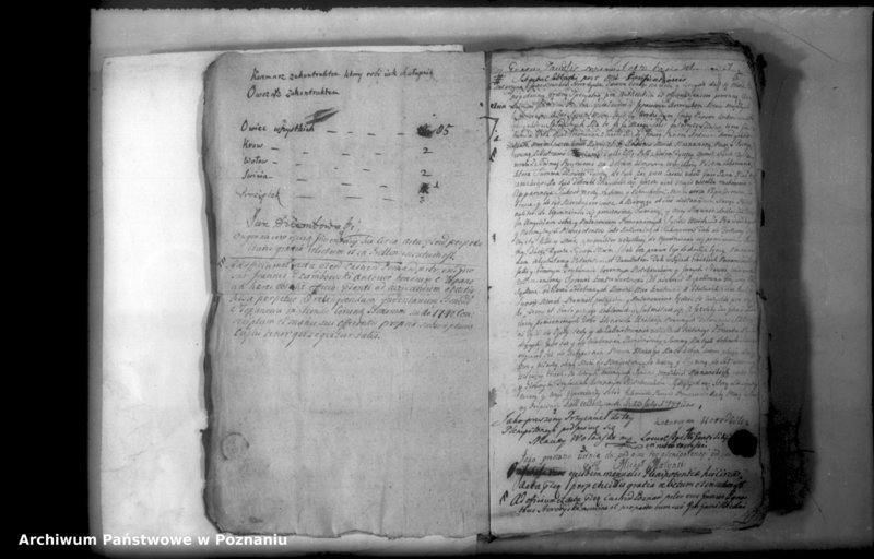 Obraz 13 z jednostki "Relationes [protocollon]"