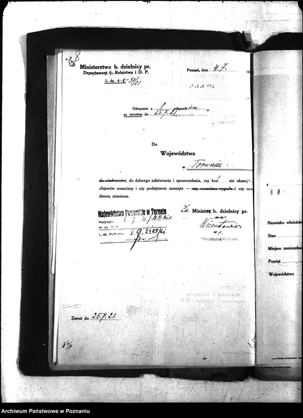 Obraz 11 z jednostki "Nosacizna - Wągrowiec"