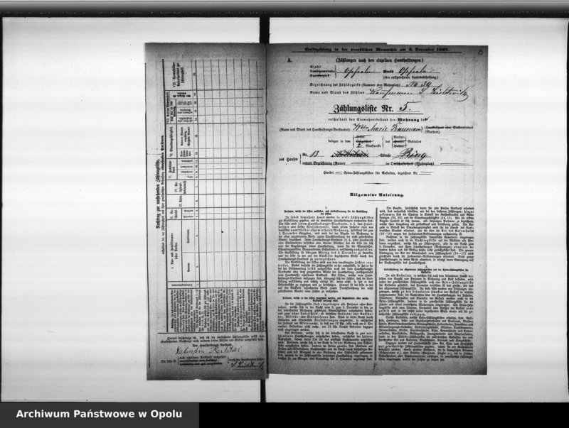 Obraz 15 z jednostki "[Okręg spisowy Nr 30. Spis ludności, 3 XII 1867]"