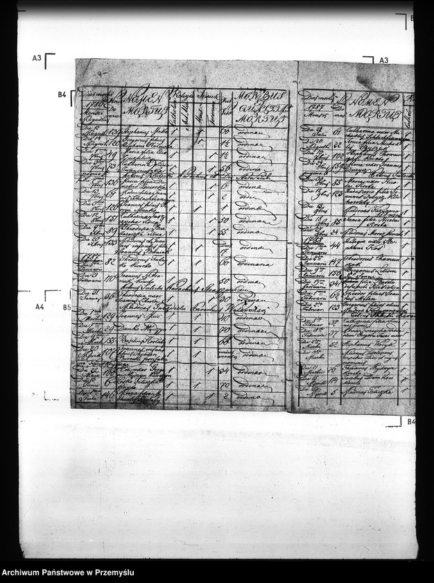 Obraz 8 z jednostki "[Kopie ksiąg metrykalnych parafii Straszewice (dekanat Stary Sambor)]"