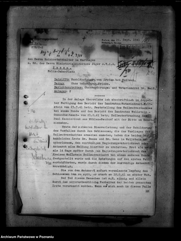 Obraz 14 z jednostki "Tollwut"