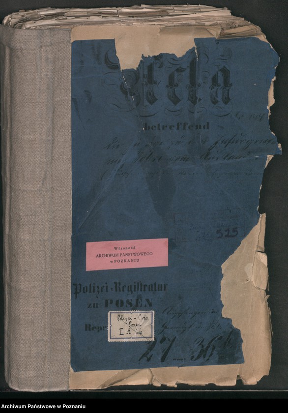 Obraz 2 z jednostki "A. betr. die Zuzüge zu den Insurgenten nach Polen vom Auslande /Deutsche, Franzosen, Italiener, Engländer, Dänen…/"