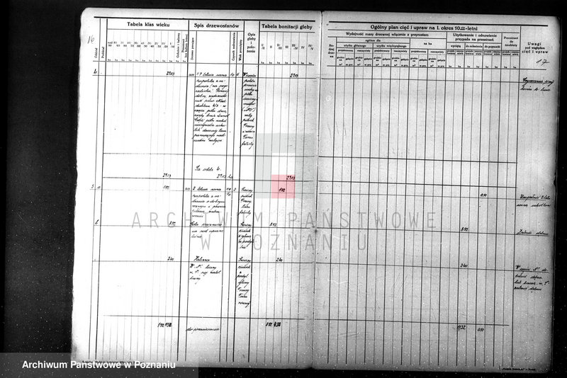 Obraz 19 z jednostki "Nadzór nad gospodarką leśną majątku Sławno powiat czarnkowskim"