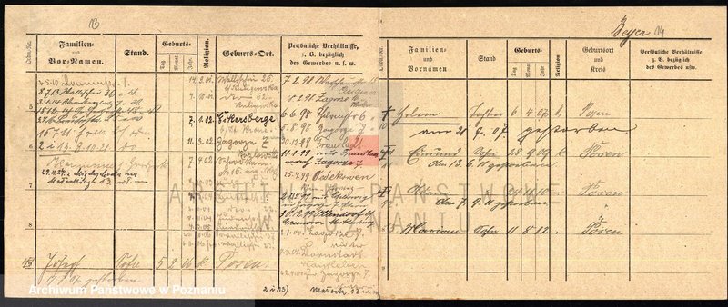 Obraz 14 z jednostki "Bajer (Bayer, Beyer)"