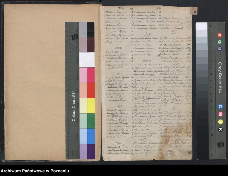 Obraz 3 z jednostki "Indeks urodzeń"