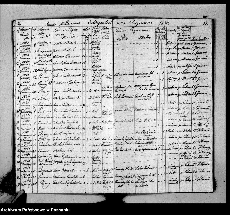 Obraz 9 z jednostki "Duplicat baptisatorum, copulatorum, mortuorum"