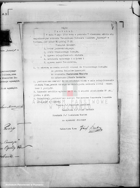 Obraz 13 z jednostki "/Towarzystwo Hodowców Kanarków,,Canaria" w Kaliszu/"