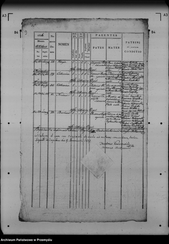 image.from.unit.number "[Kopie ksiąg metrykalnych parafii Miłków (dekanat Lubaczów)]"