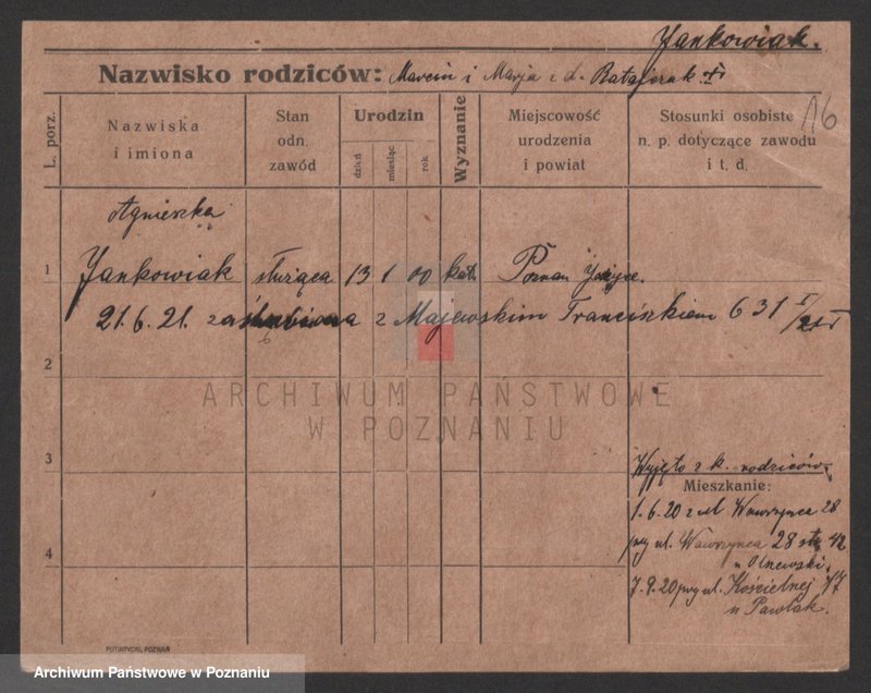 Obraz 16 z jednostki "Jankowiak (samotne kobiety)"