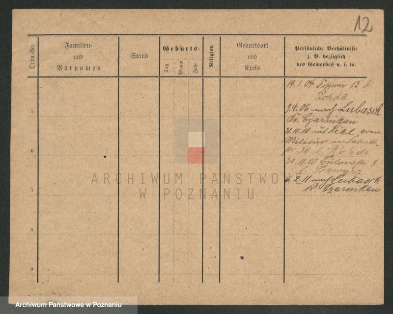 Obraz 12 z jednostki "Kornecki - Kortus"