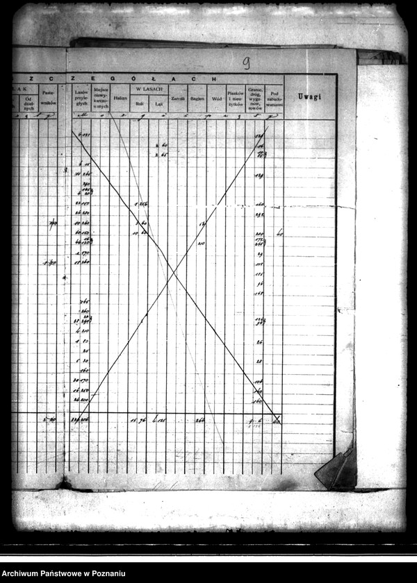 Obraz 13 z jednostki "/Rejestr pomiarowy dóbr Szczytniki powiat kaliski"