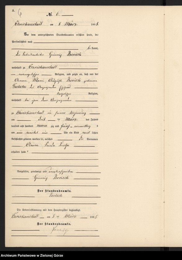 Obraz 9 z jednostki "Geburts-Neben-Register im Standes-Amt Christianstadt Kreis Sorau 1895"
