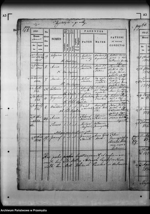 Obraz 7 z jednostki "[Kopie ksiąg metrykalnych parafii Myślatycze (dekanat Mościska)]"