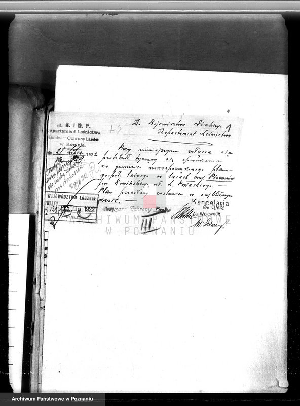 Obraz 5 z jednostki "Sprawa zmiany rodzaju użytkowania w związku z parcelacją powiat 19,5 ha gruntów leśnych w majątku Piorunów powiat koniński"