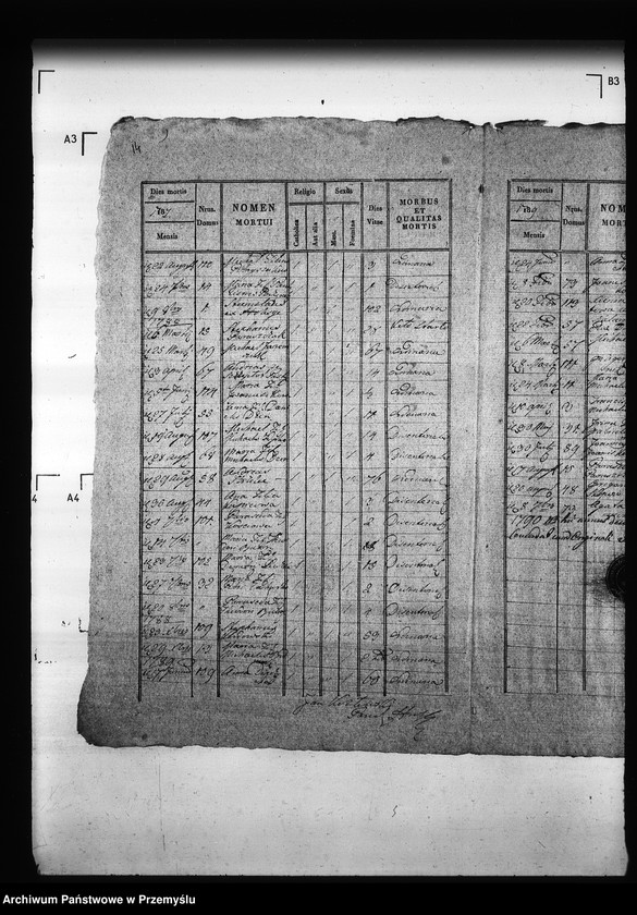 Obraz 18 z jednostki "[Kopie ksiąg metrykalnych parafii Hruszów z filiami Budomierz, Kłonice, Szczepłoty (dekanat Niemirów)]"