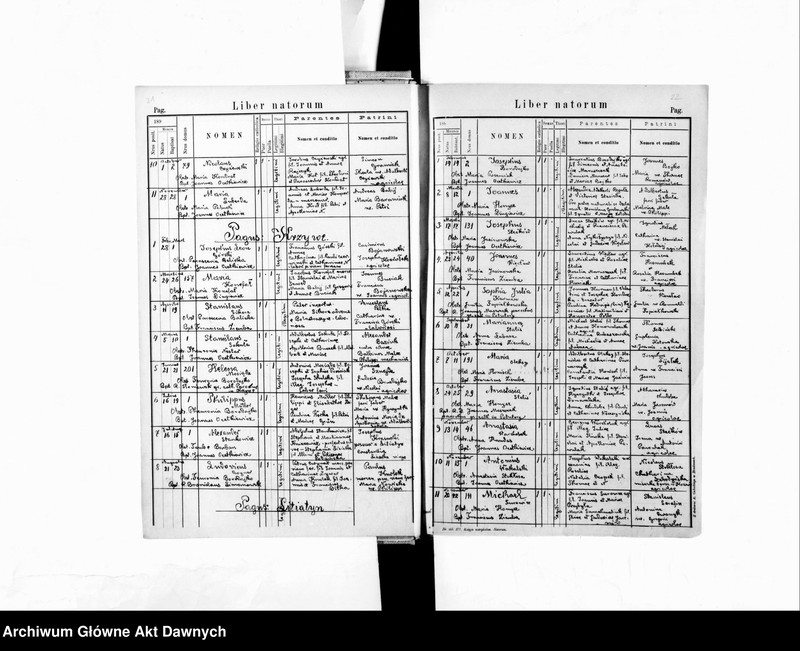 image.from.unit.number "Parafia: Kozowa. Dekanat: Brzeżany. Księga metrykalna urodzeń, ślubów i zgonów dla miasta Kozowa i wsi: Helenków, Kalne, Krzywe, Litiatyn*, Słoboda Złota; Teofipólka, Szczepanów*, Wiktorówka, Telacze*, Uwsie."