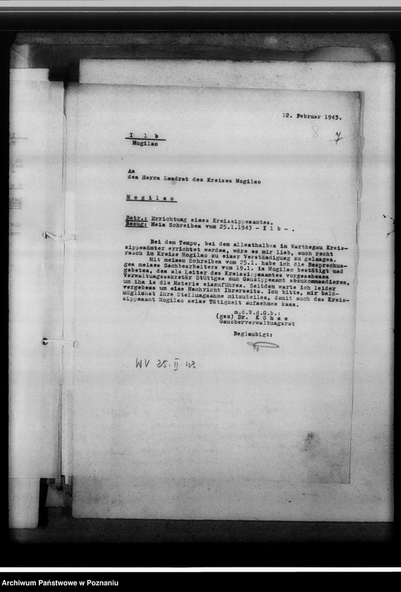 Obraz 12 z jednostki "[Korespondencja w sprawach organizacyjnych], Kreissippenamt Mogilno"