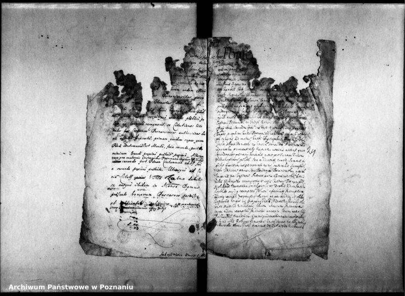 Obraz 6 z jednostki "Decreta officii [inducta]"