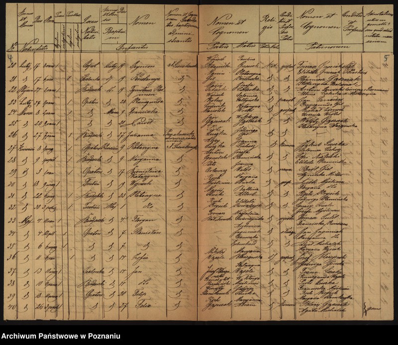 Obraz 5 z jednostki "Duplikat urodzonych"